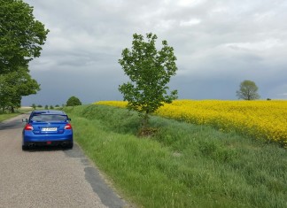 Rola rzepaku w motoryzacji.