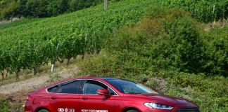 Wino – FORD – Motorsport