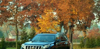 Po Ameryce i Wielkiej Brytanii, czas na Japonię.