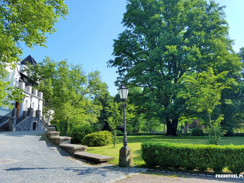 Pałac Ciekocinko Foto T. Kamiński